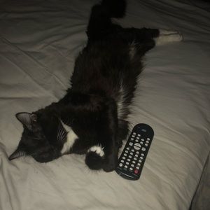 Meet your Posher, Tycisca